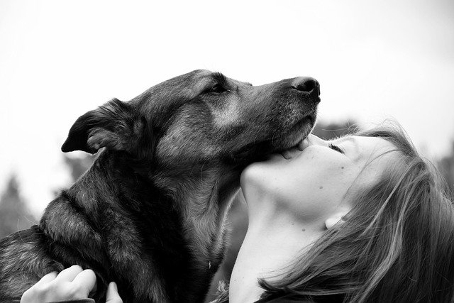 best dogs for families